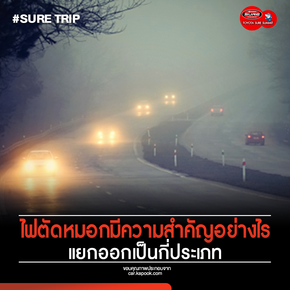 How important are fog lights? and separated into how many types