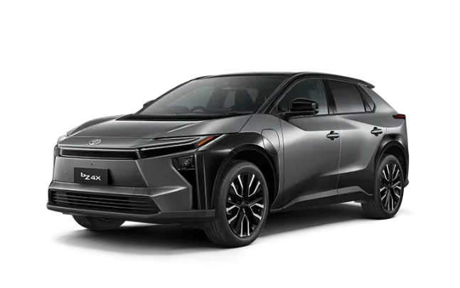 Precious Metal / Black Roof