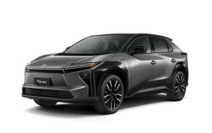 Precious Metal / Black Roof