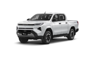 PLATINUM WHITE PEARL MICA