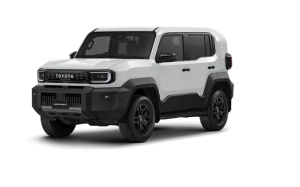 PLATINUM WHITE PEARL MICA